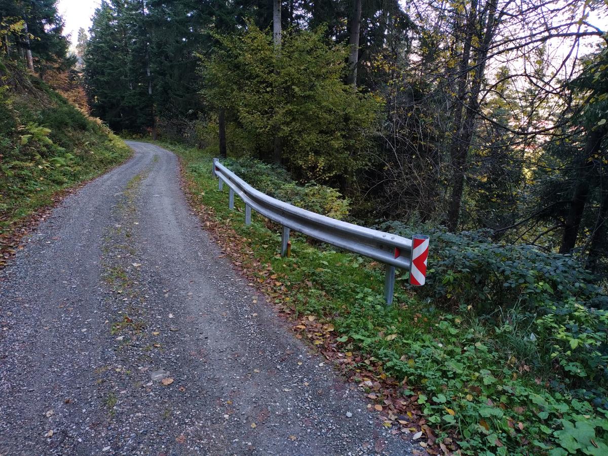 Postavitev zaščitnih ograj na gozdni cesti Obadova cesta
